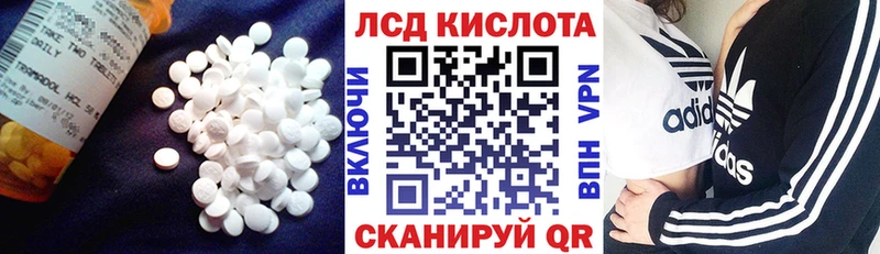 Купить  Гдов  LSD-25 экстази кислота 